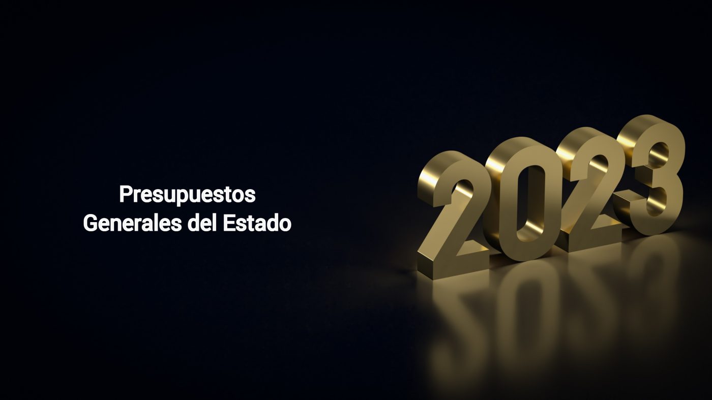 Ley de Presupuestos Generales del Estado 2023