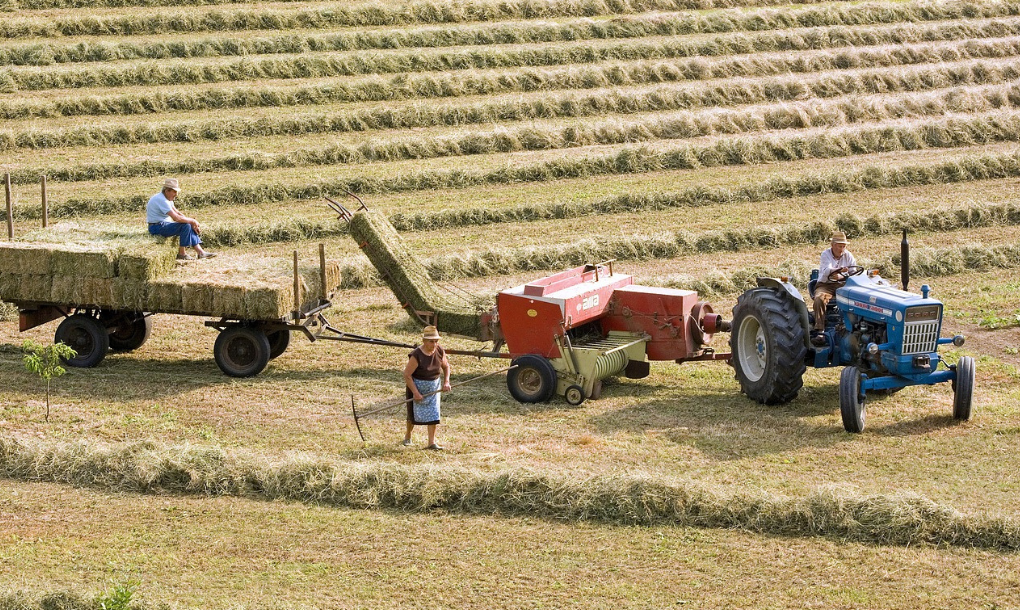 módulos de agricultura 2023